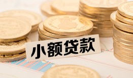 深圳盐田区哪里有小额贷款-深圳盐田区身份证贷款平台-深圳盐田区民间短借