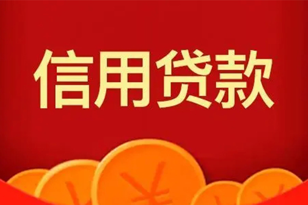 深圳盐田区民间短期私借借款